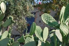 Amendolea