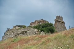Palizzi-M-Torre-Mozza-Foto-Enzo-Galluccio1