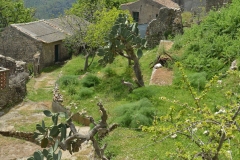 Palizzi-Pietrapennata-Foto-Enzo-Galluccio-8