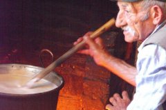 Gastronomia-7-Formaggi-Ricotta-7-Preparazione-Titti-Romeo
