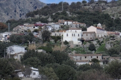 San-Lorenzo-San-Pantaleo-Foto-Enzo-Galluccio